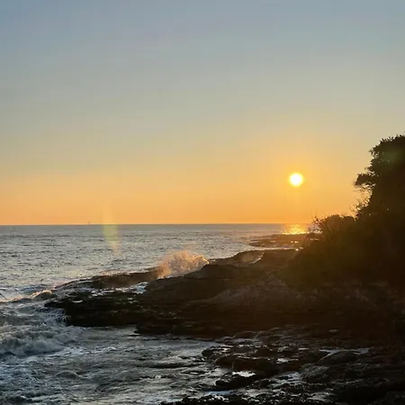 Ocean Soleil Relax Mobil Lapignade 4 Etoiles *